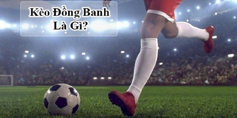 Kèo hòa luôn thu hút nhiều người tham gia bởi sự đơn giản của nó