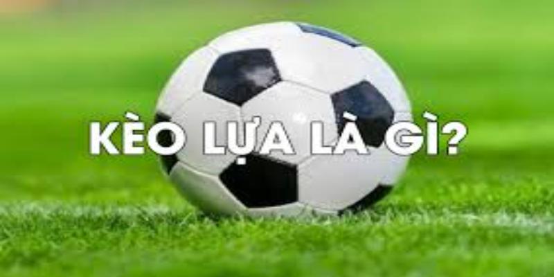 Kèo lựa là một loại hình cá cược có độ đa dạng vô cùng cao