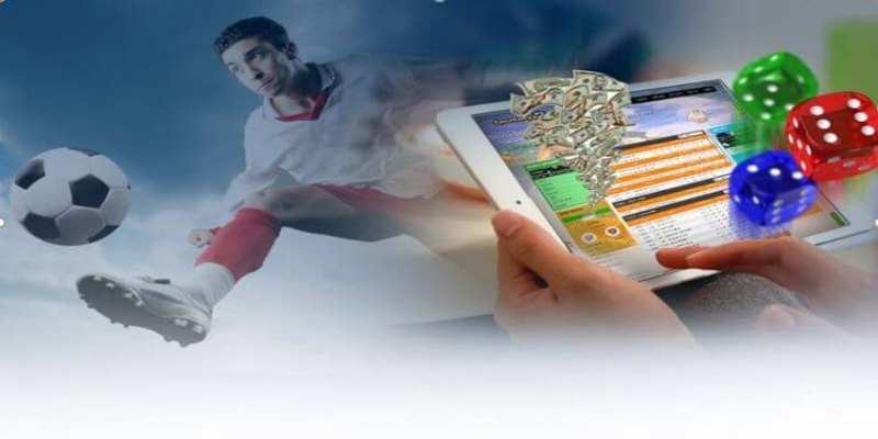 Web Cá Độ Bóng Đá Chất Lượng Nhất Trên Thị Trường 2025 3 Web cá độ bóng đá hàng đầu cực hay