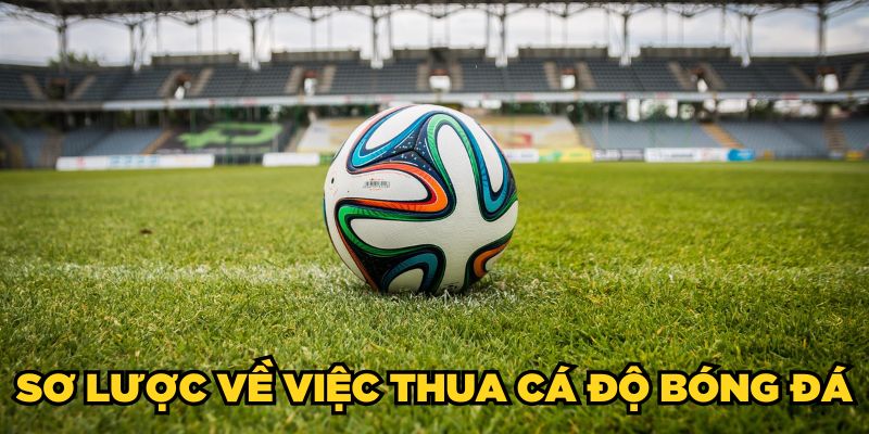 Sơ lược về việc thua cá độ bóng đá